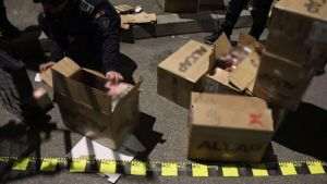 Poliţia de Frontieră: Parfumuri contrafăcute în valoare de aproximativ cinci milioane lei au fost descoperite de poliţiştii de frontieră doljeni